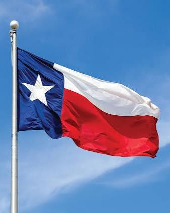 Texas state flag waving on a flagpole